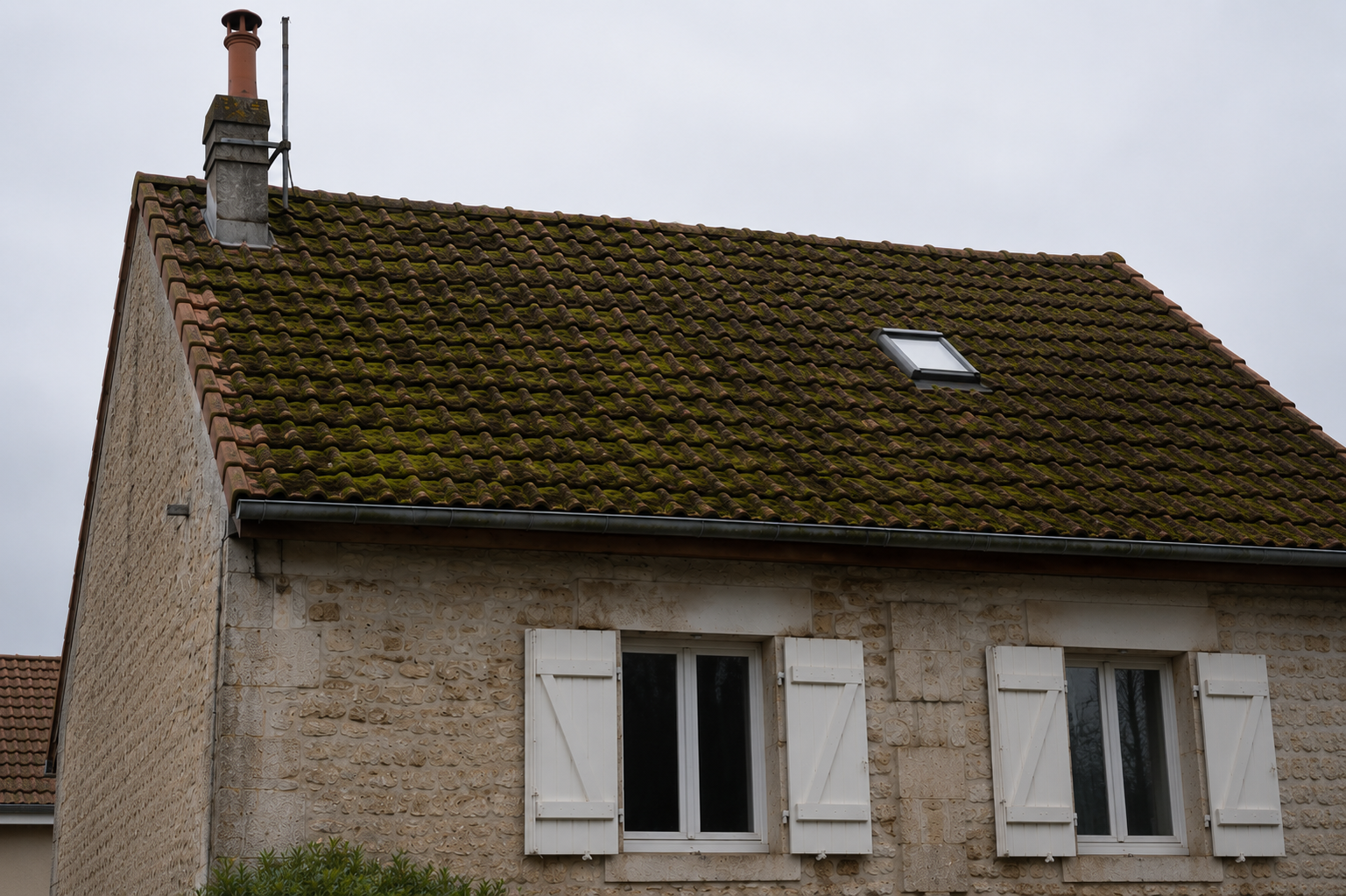 Toiture avant démoussage